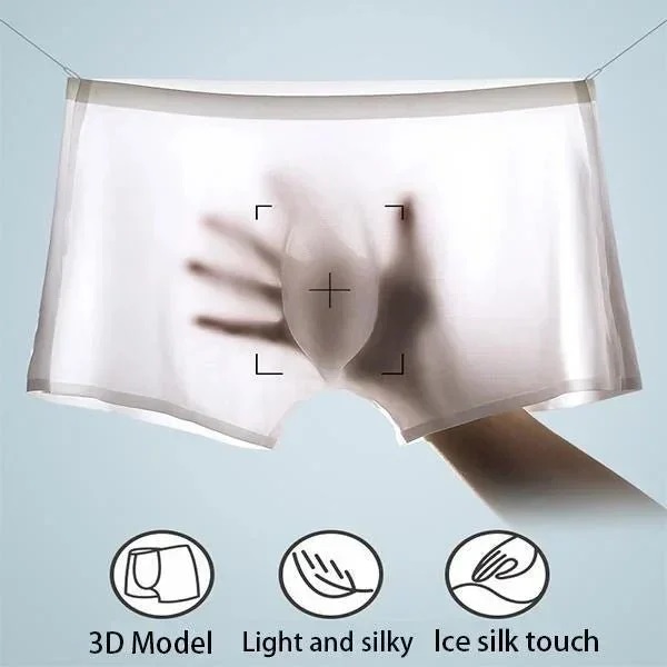 ✨Antibacterial Thin and Light Men's Ice Silk Brief （Buy 1 Get 3 Free）